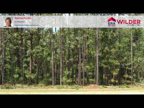 822 Meadowfield Road, Gaston, SC home video tour