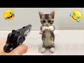笑わずにいられる？😹🐈 2025年最も面白い猫と犬 😂🤣