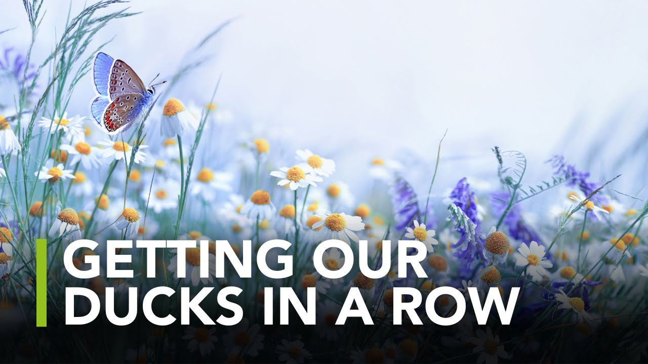 What Needs To Happen For BNG To Be A Succes?