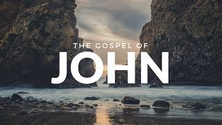 John 8:38-47