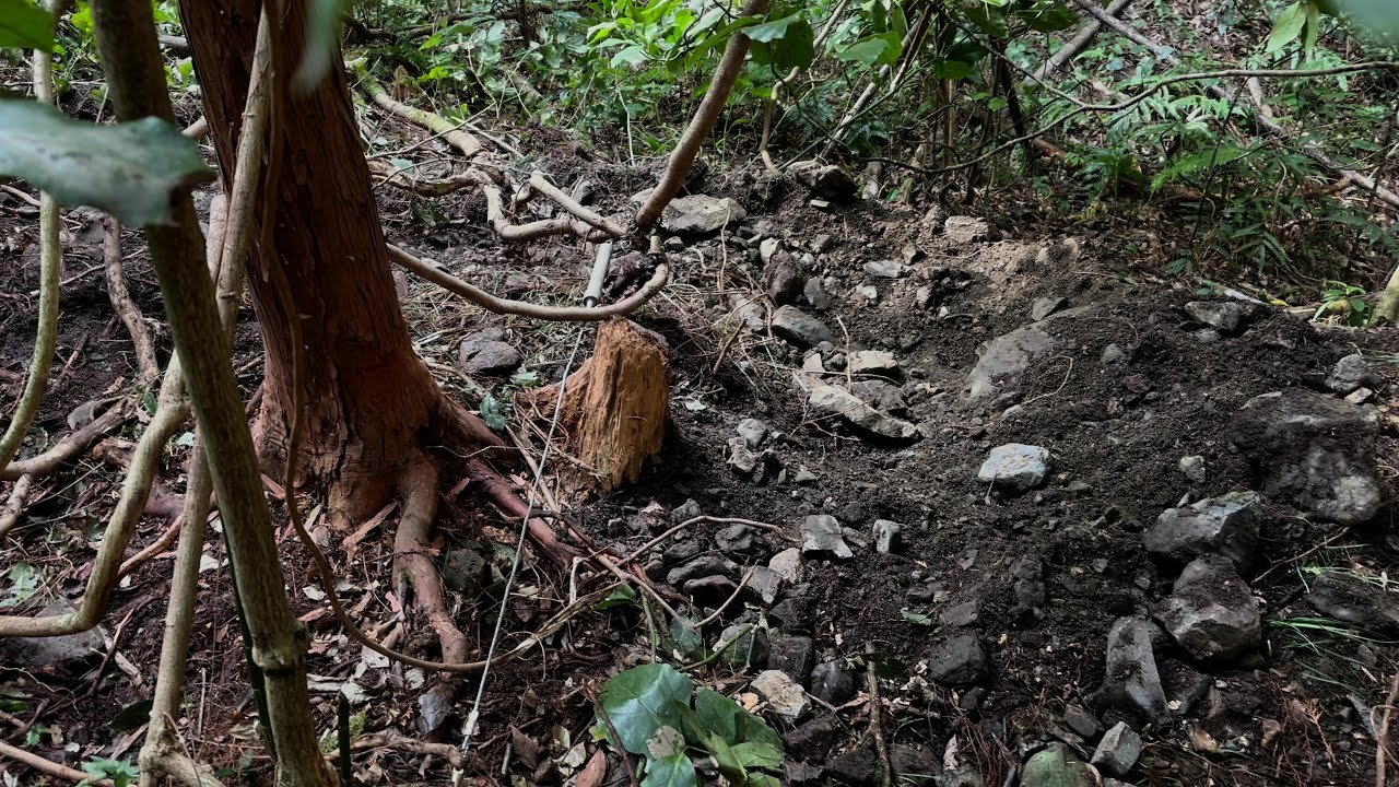 Viewer Discretion Advised] Status Report on Snare Traps Part 1