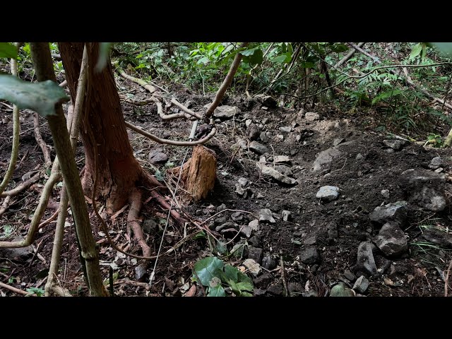 Viewer Discretion Advised] Status Report on Snare Traps Part 1