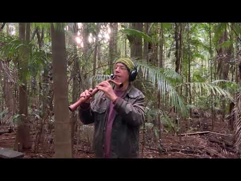 Rainforest Conversations