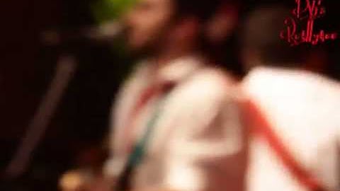 Thumbnail of Agapornis - Persiana Americana Extended