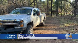 Black Bear & Cubs Euthanized After Durango Woman Found Dead From Apparent Bear Attack