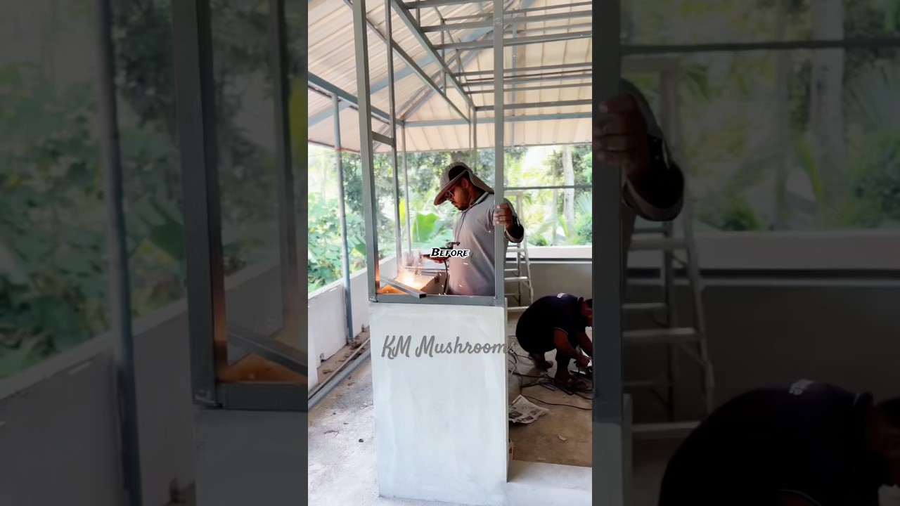 Hi-tech Mushroom Farm Construction at Alappuzha, KM Mushrooms 8590222299