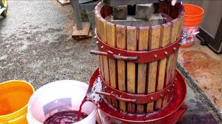 Pressing Grapes