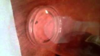 VID 00055-20111027-2031.3GP