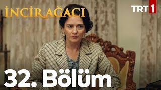 İncir Ağacı 32 Bölüm