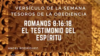 El versículo de la semana  Romanos 8:1618  El testimonio del Espíritu