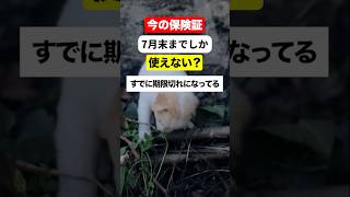 8月から病院でどうなる?知らないと損する人