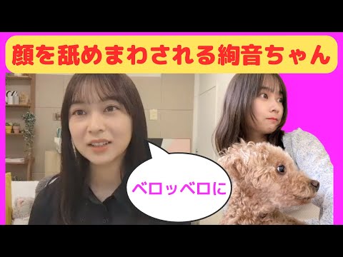 [Suzuki Ayane] Ayane-chan has her face licked all over / Transcription (Nogizaka46)