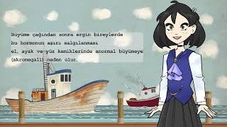 Hipofiz Bezinin Ön Lobundan Salgılanan Hormonlar ve Bu Hormonların Görevleri