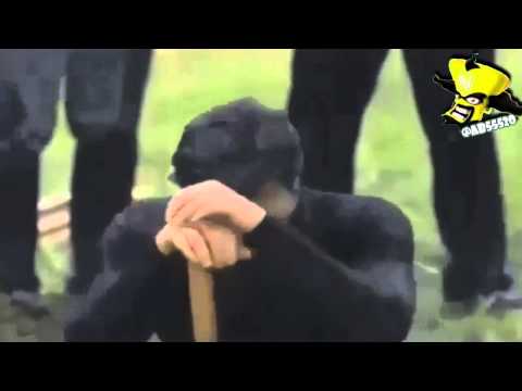 يا ابو رفيق رحالوا