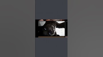 Discord’s Most Insane Character