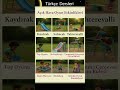 Gerçekçi Çocuk Açık Hava Oyun Etkinlikleri- Realistic Children's Outdoor Play Activities