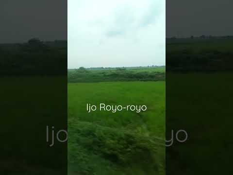 ijo royo-royo
