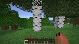 I Swapped the Overworld with the Overworld!