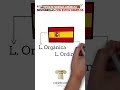 Tipos de NORMAS JURÍSICAS, DESCÚBRELAS con estos EJEMPLOS #derecho