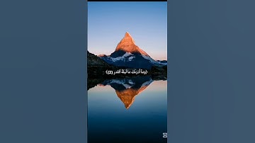 (ليلة ٢٣) اسلام صبحي سورة القدر #quran #اكسبلور #اسلام_صبحي #سورة_القدر #رمضان #راحة_نفسية