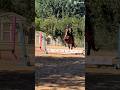 i was fr flying 👩🏻‍🦲 #horse #equestrianriding #equestrian #horsetrack #horsebackriding #horsegirl