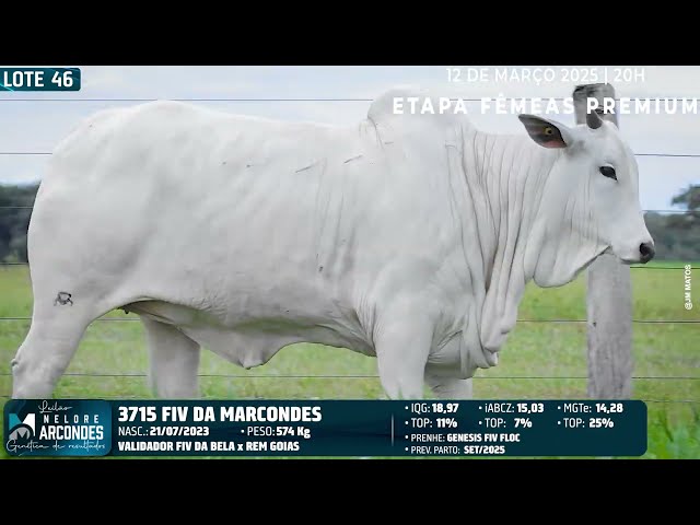LOTE 46   MMAR 3715