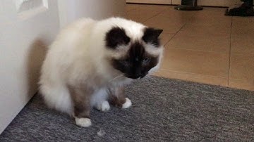 Printing Labels from LOG4OM