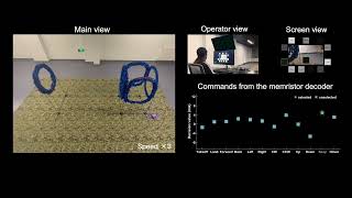 Real-time brain-controlled drone flight with the memristor-enabled neuromorphic BCI