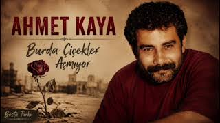 Ahmet Kaya - Burda Çiçekler Açmıyor Dosta Türkü Ürkü