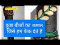 Best out of waste with some seeds| Best out of waste # DIY video