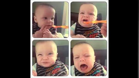 Shepard's First Year in Pictures