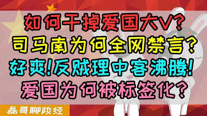 司马南为何被全网禁言？爱国为什么被标签化？磊哥告诉你如何干掉爱国大V、小粉红、爱国大V是怎么来的？回形针、高晓松、蒋方舟、张哲瀚为啥要高喊爱国？为什么说爱国主义是流氓最后的庇护所 - 天天要闻