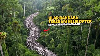 NGERI‼️ Penampakan Ular Super Besar di Pedalaman Hutan Amazon Terekam Kamera Pilot Helikopter...
