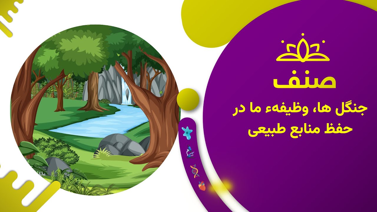 صنف - بیولوژی صنف هشتم- درس ۳۰: جنگل هاوظیفهء ما در حفظ منابع طبیعی