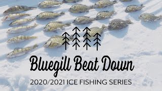 Bluegill Beat Down | Bluegill Fishing | Ice Fishing Bluegill | E59