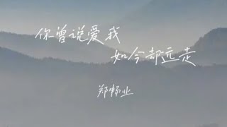 郑畅业 - 你曾说爱我如今却远走/Zheng chang ye - Ni ceng shuo ai wo ru jin que yuan zou