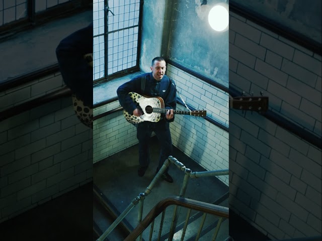 Dealer acoustic x #acoustic