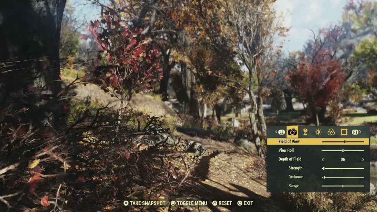 Fallout 76 - Photo Bomber Trophy