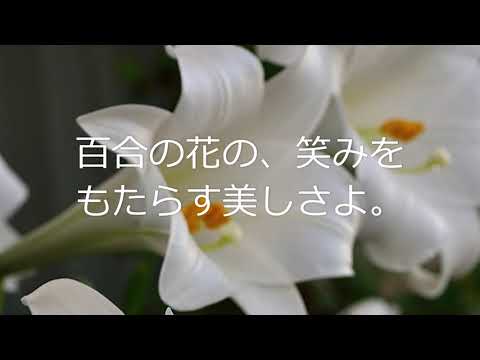 Seiko Tanabe’s "100 Manyoshu Poems" 3: Otomo no Yakamochi (Book 18, 4086)
