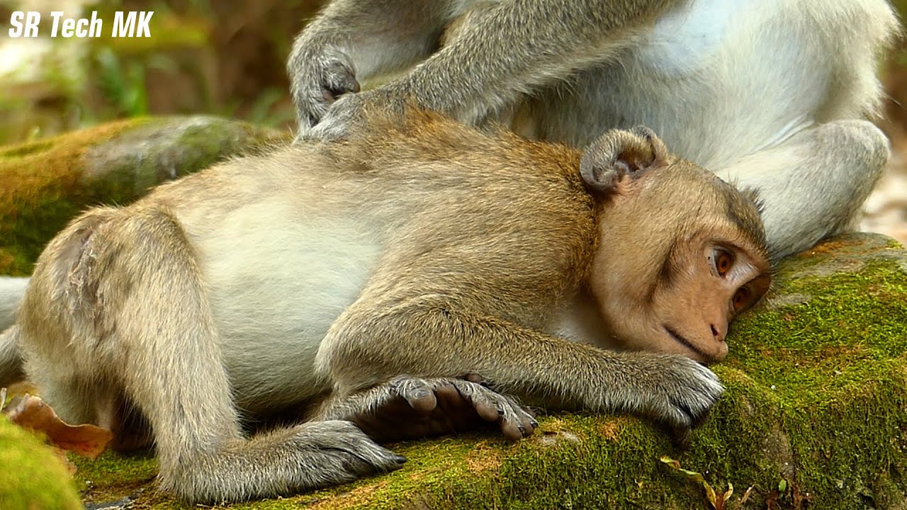 Saddess..! Who understands the feeling of pain to Jody, Adorable Jane takes care & nurses her son