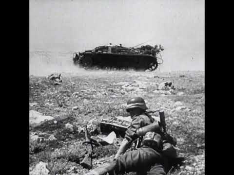 StuG IIIs in action near Sevastopol in 1942