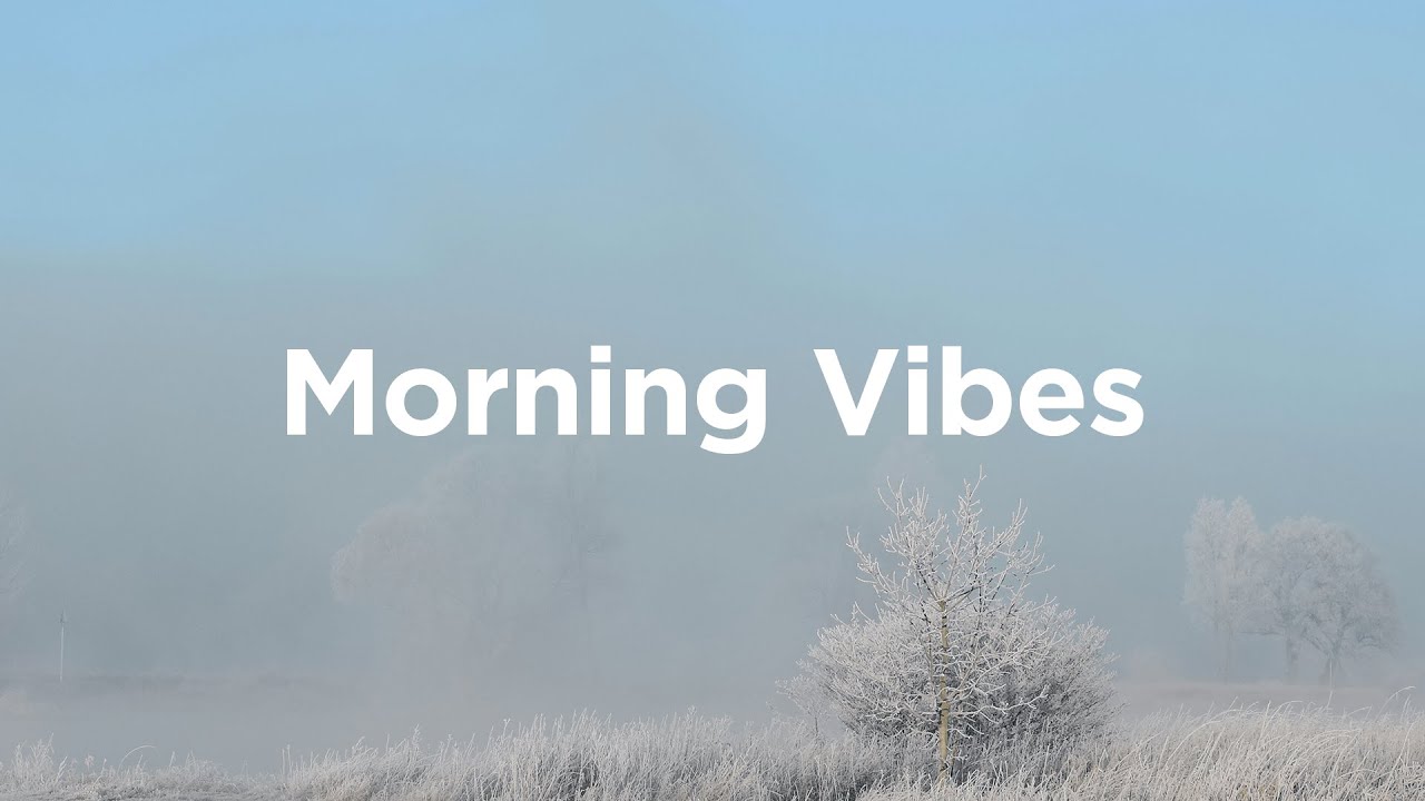 Cozy Morning 🌅 Warm Coffee Vibes for Cold Days