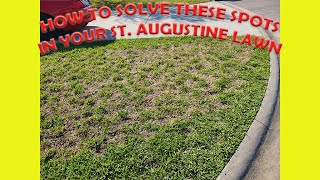 What Are And How To Solve Brown And Dead Spots In St. Augustine Grass!!!