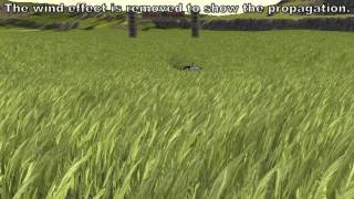 Real-time Continuum Grass