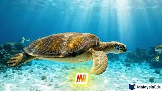 HACK SAINS TINGKATAN 2 Fahami Biodiversiti 🔥