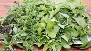 A Quick Guide to Vietnamese Herbs