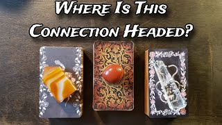 🧡🖤 Where Is This Connection Headed? 🧡🖤 Pick A Card Love Reading