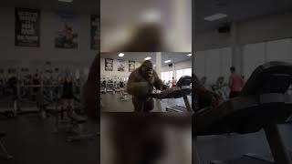 BIGFOOT'S EPIC GYM FAIL! You Won't BELIEVE Your Eyes! 😂