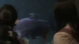 20140330no5