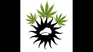 Fotosentez Gurmeleri - Diss To Namus Bekçileri